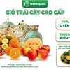 Combo Giỏ Trái Cây Biếu Tặng